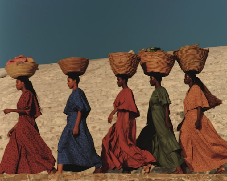Médecine traditionnelle d'Afrique de l'Ouest : un savoir vivant, entre plante et communauté
