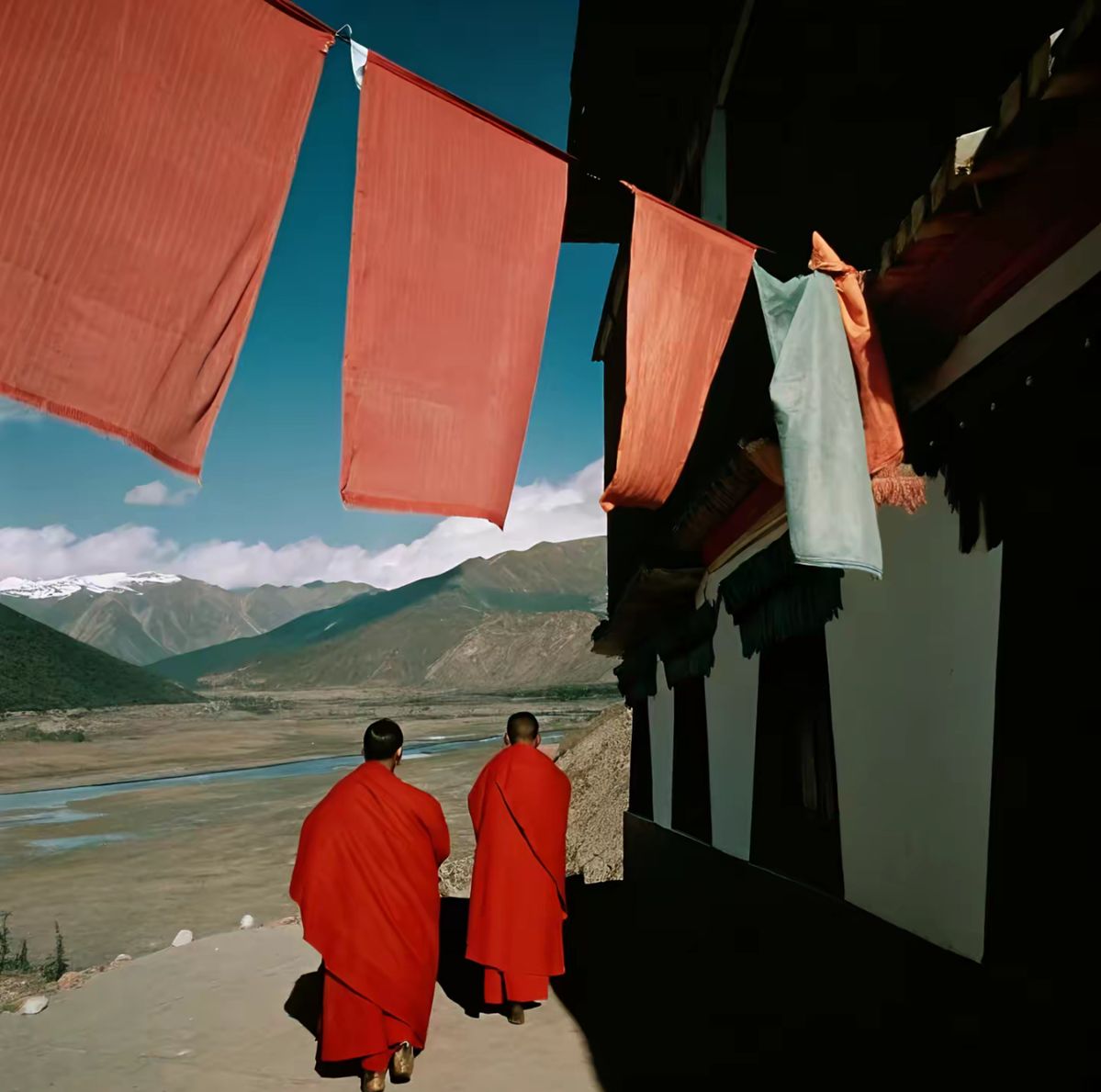 Médecine traditionnelle tibétaine : le Sowa Rigpa, une science de l'équilibre