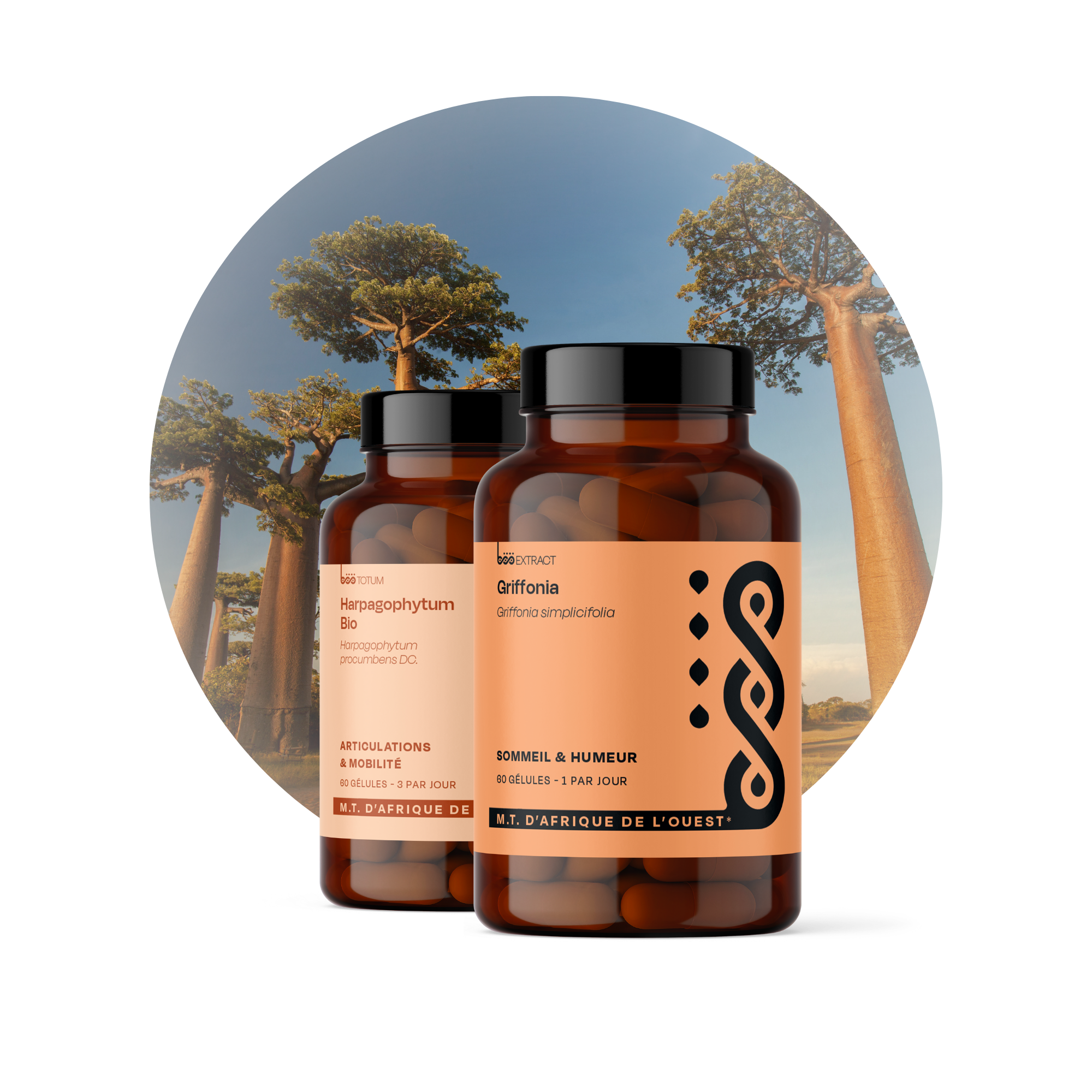 Médecine traditionnelle d'Afrique de l'Ouest