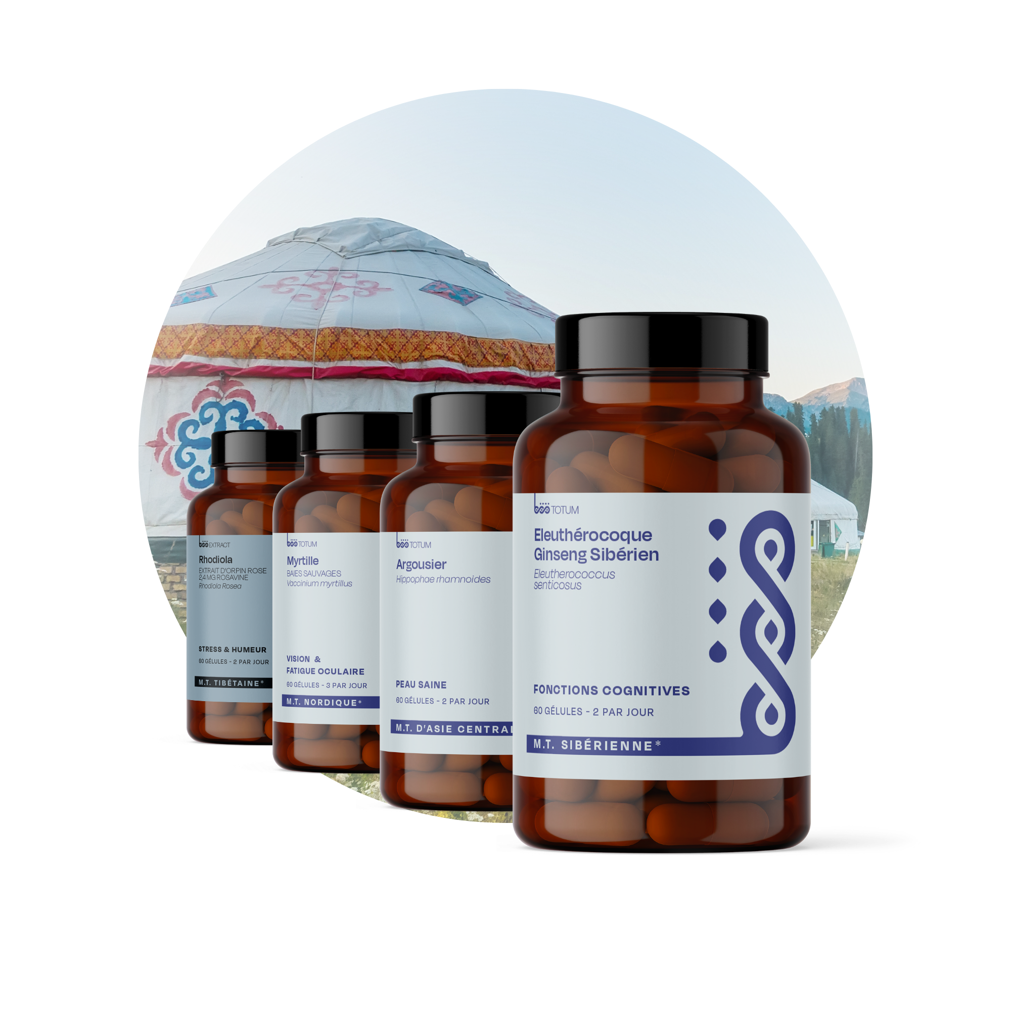 Médecine traditionnelle d'Asie centrale