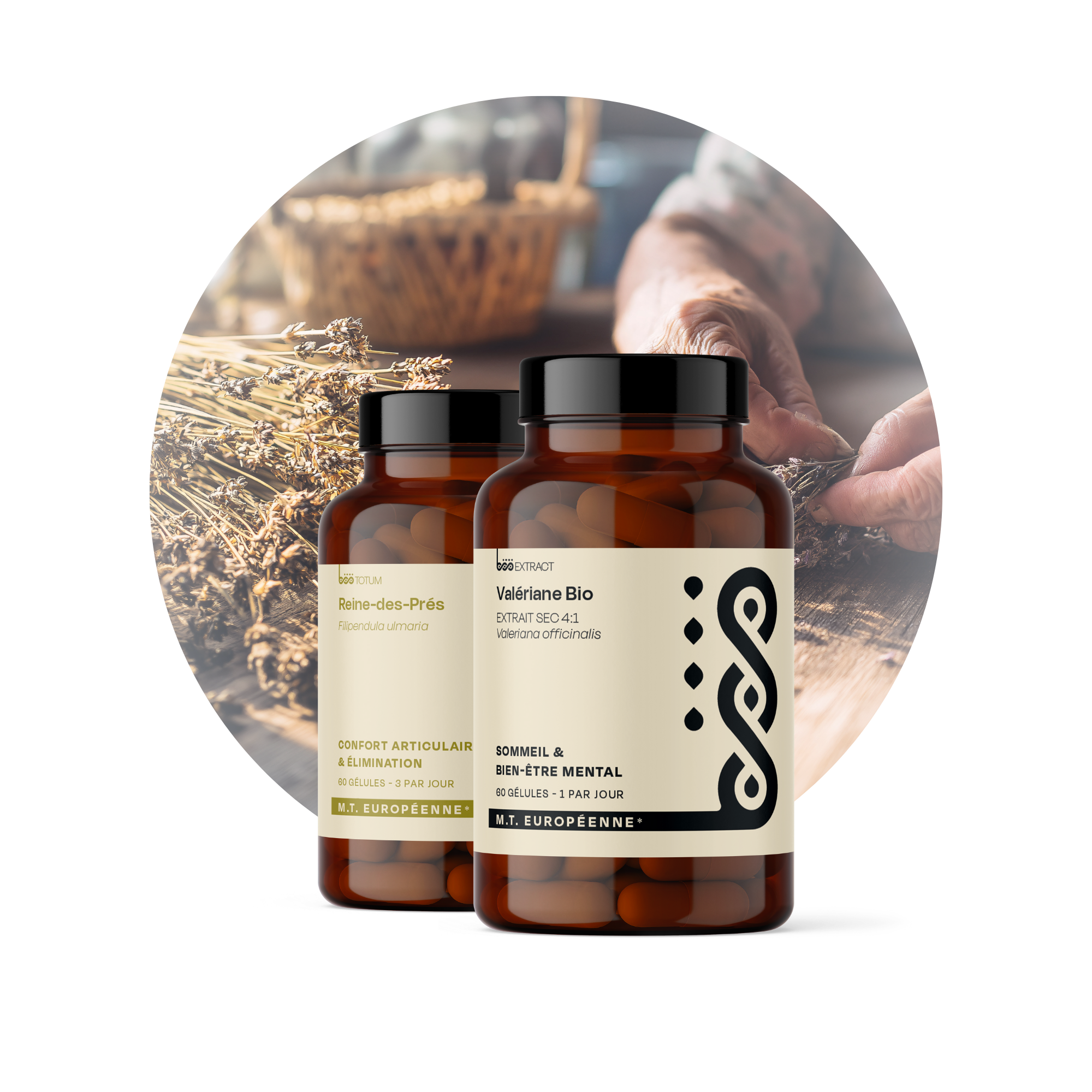 Médecine traditionnelle européenne