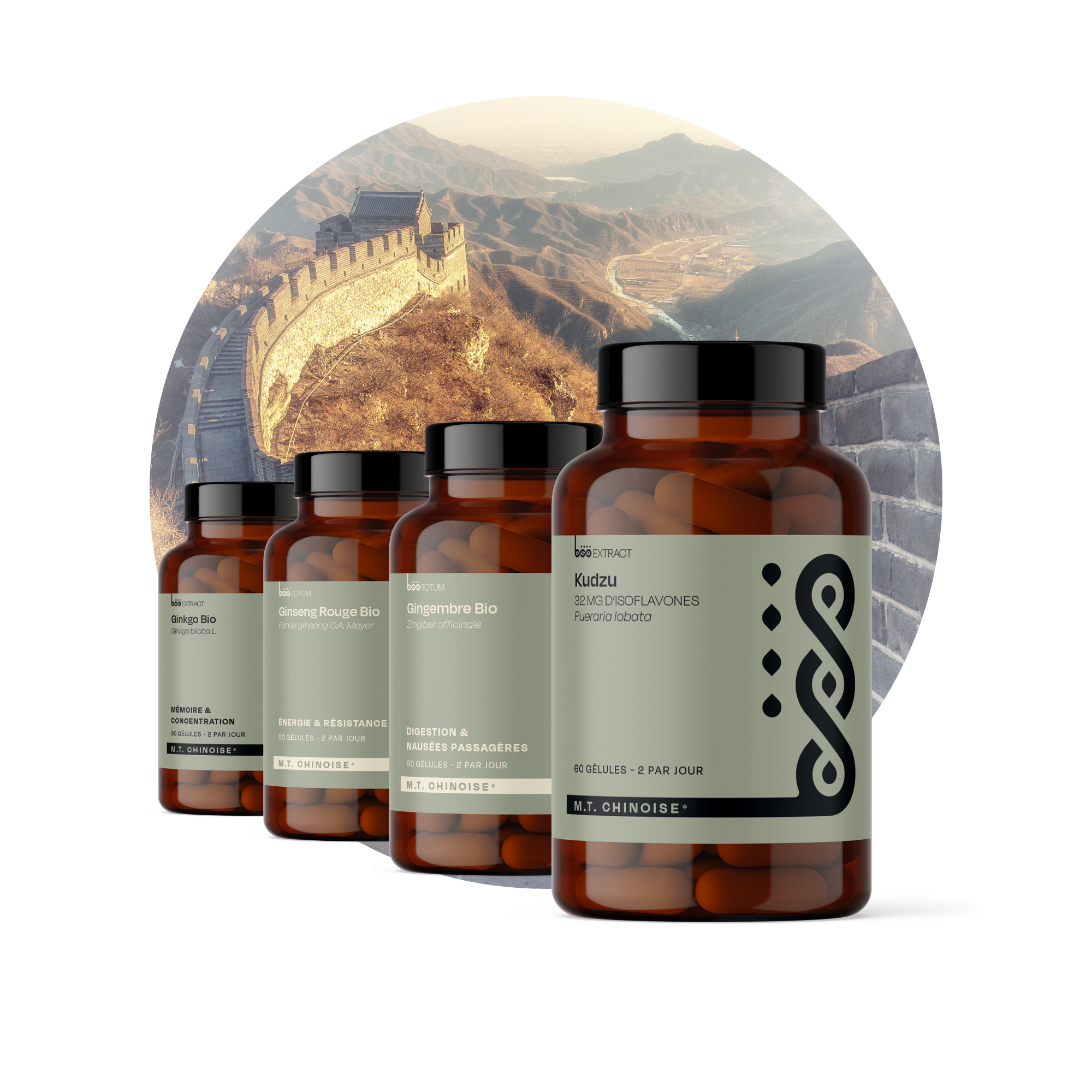 Médecine Traditionnelle Chinoise