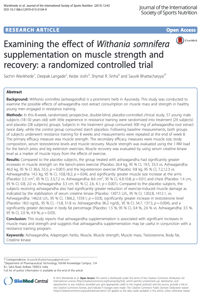 Vitalité &amp; performance : amélioration de l’endurance, de la force musculaire et de la récupération.