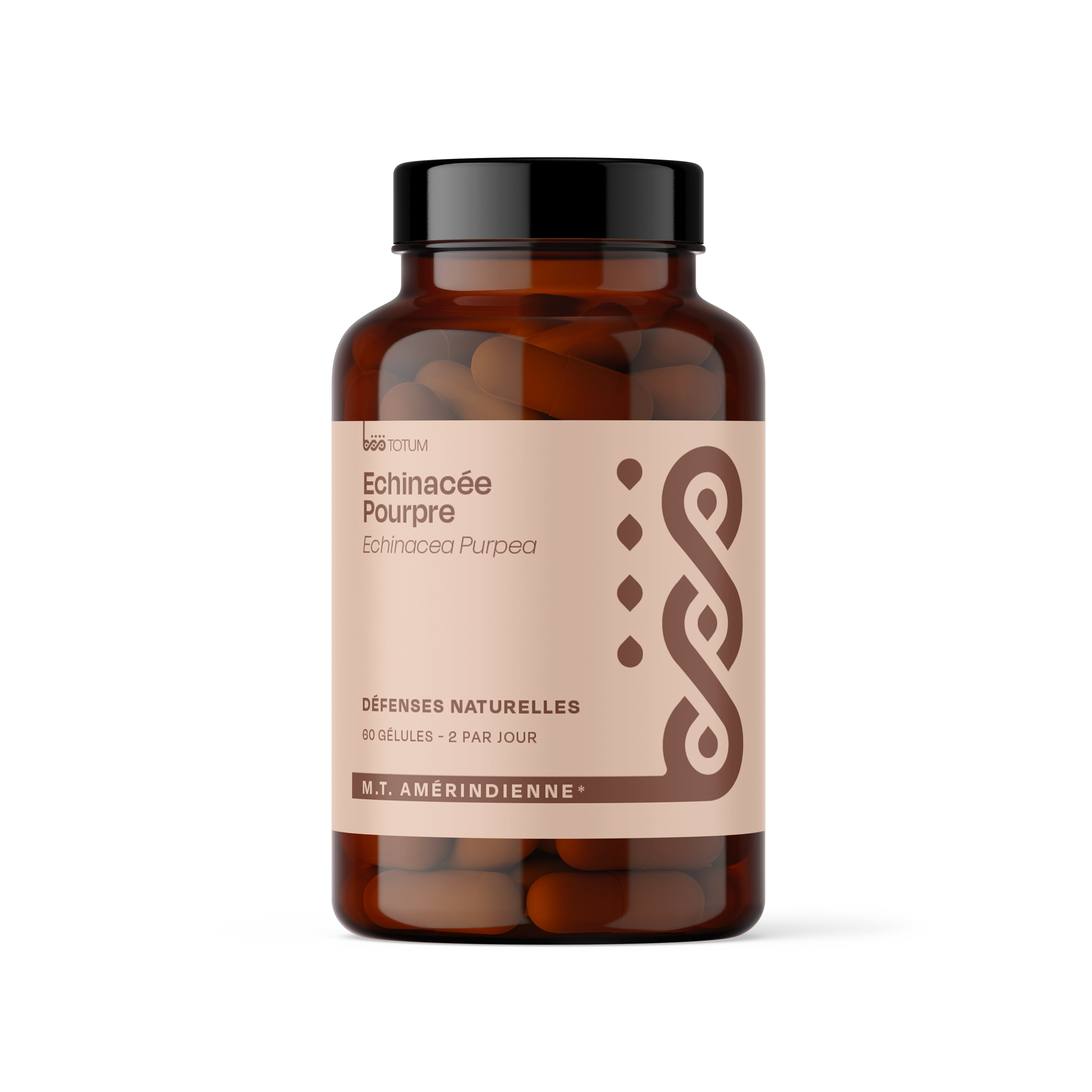 Echinacée pourpre bio - Böö 