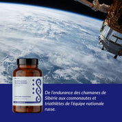 Eleutherocoque - Böö 