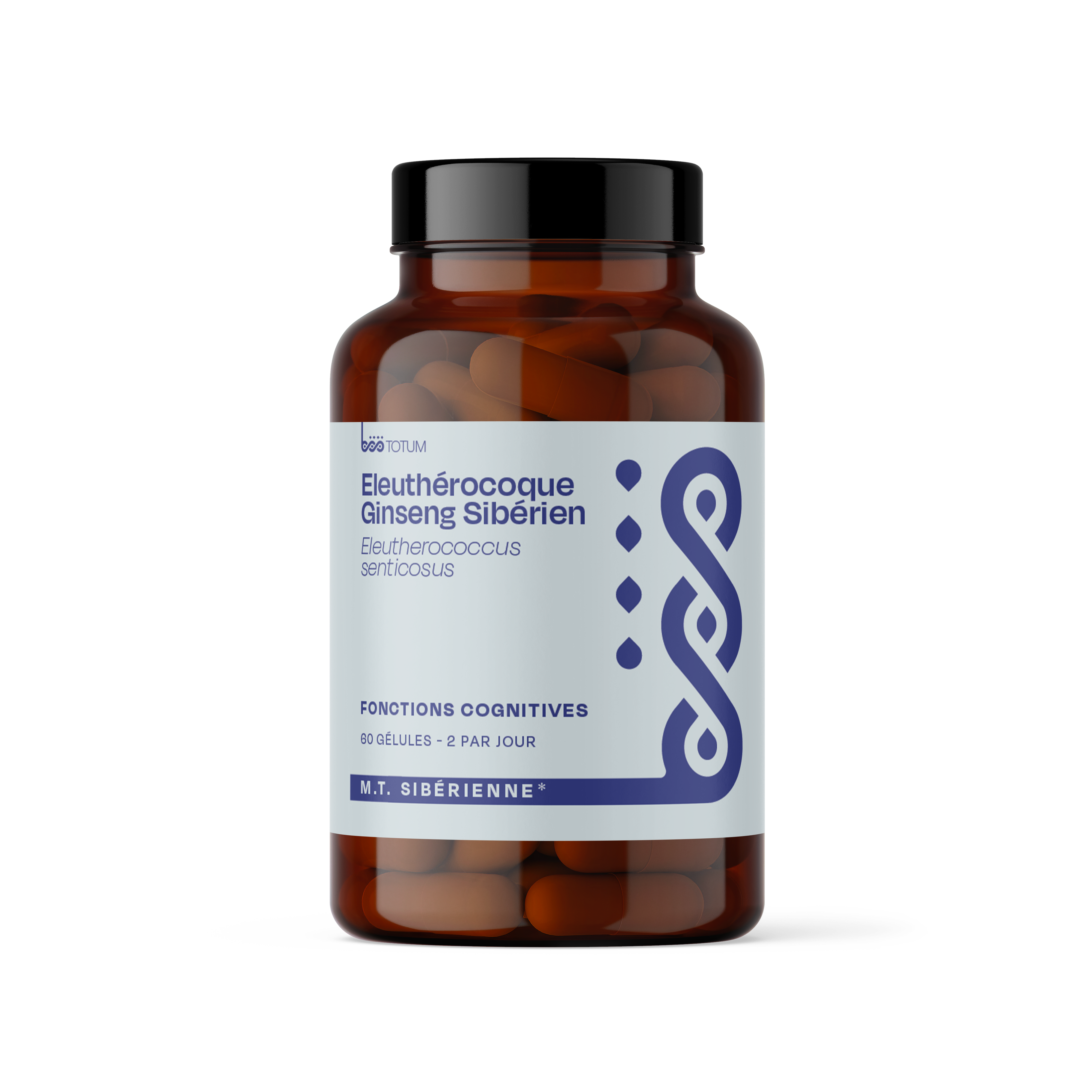 Eleutherocoque - Böö 