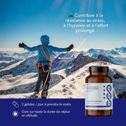 Eleutherocoque - Böö 