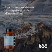 Rhodiola - 2,4 mg rosavine